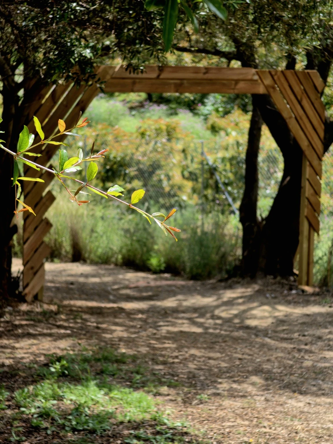 Unique mando gate on the Blue Course